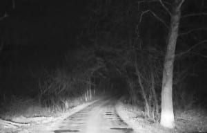 Creepy road